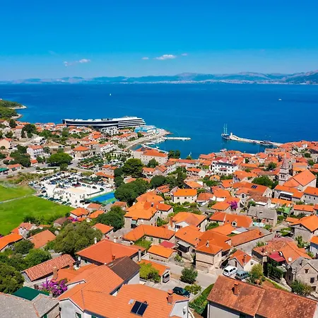 Avorio, Brac