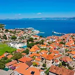 Avorio, Brac